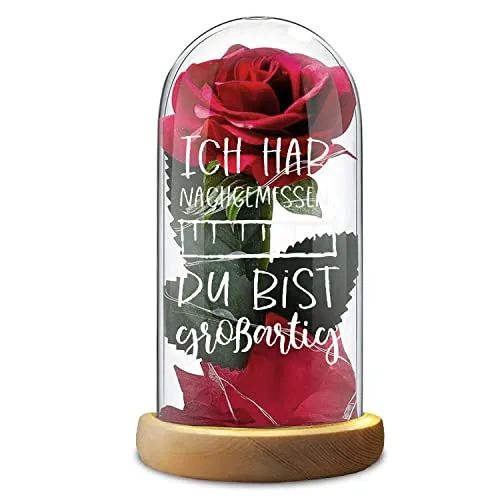 Rose rouge Dôme de verre Saint-Valentin J'ai mesuré - tu es formidable