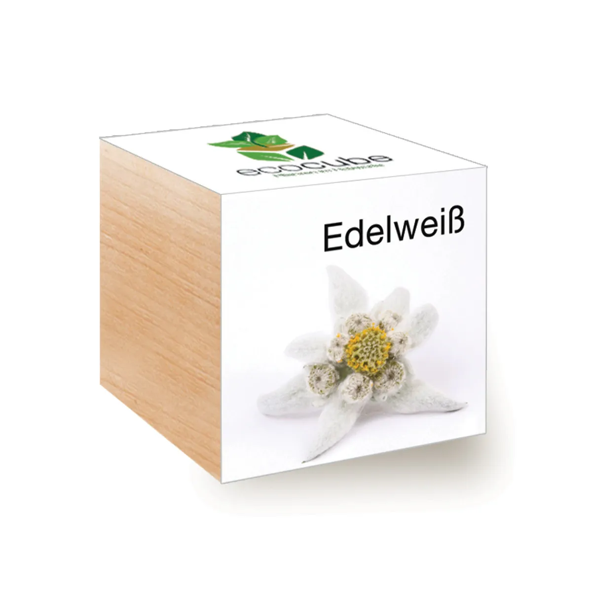 EcoCube edelweiss