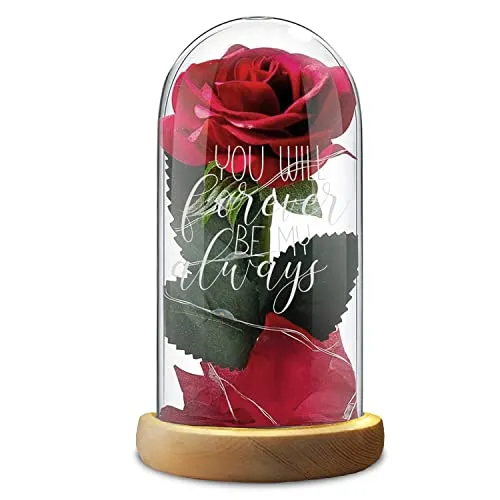 Rose rouge Dôme de verre Saint-Valentin You will forever be my always
